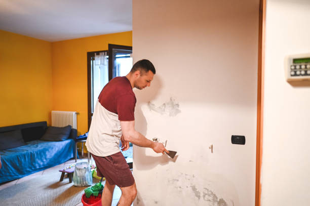 Best Affordable Mold Removal  in Anaheim, CA